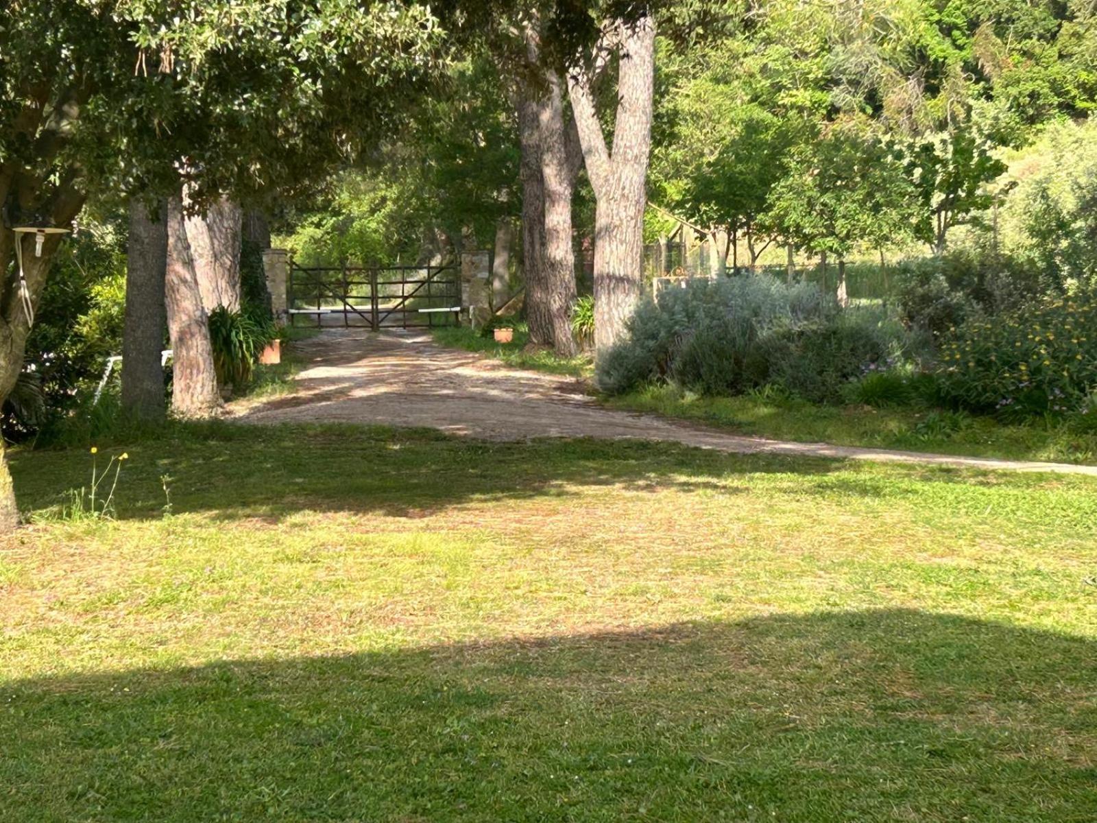 Poggio Ceraso Di Lamioni Roberto Séjour à la ferme *